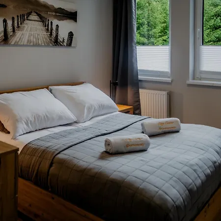 Center Wierch 4 公寓 *